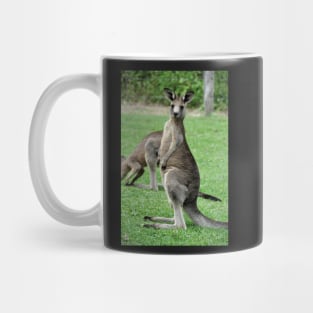 Australie - Newcastle, Kangourou Mug